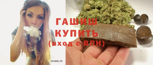 индика Алзамай