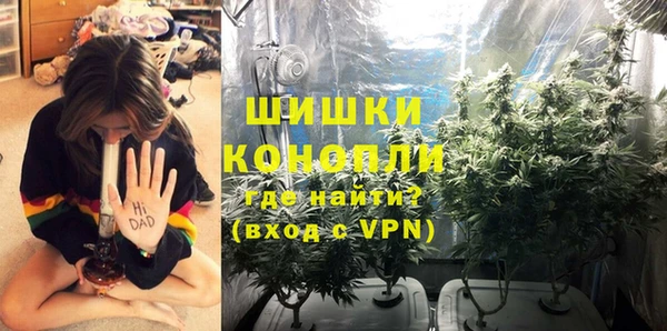 индика Алзамай