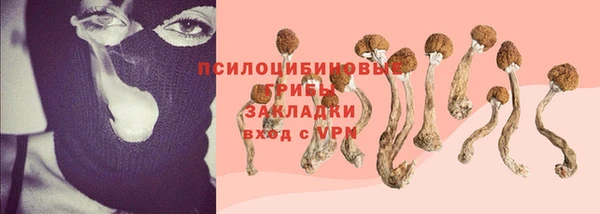 индика Алзамай