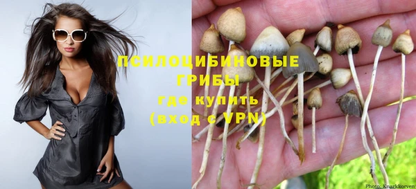 индика Алзамай