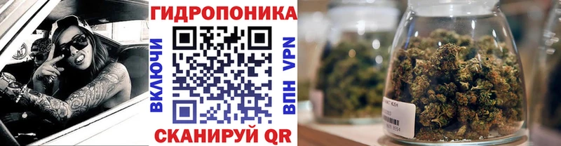 Бошки марихуана тримм  Кондопога 